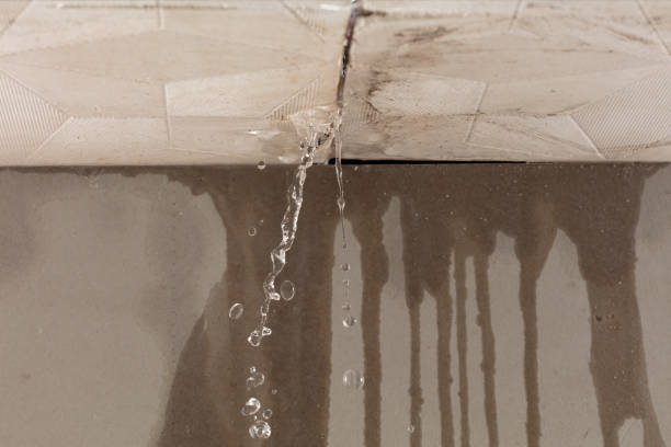 Professional Sewage Cleanup technician working in Burlington, IL